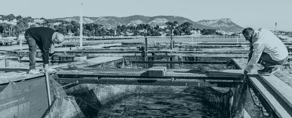 Image noir et blanc peche