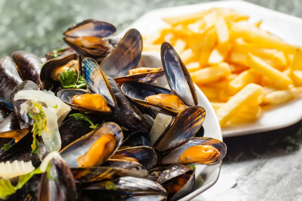 Moules cuisines