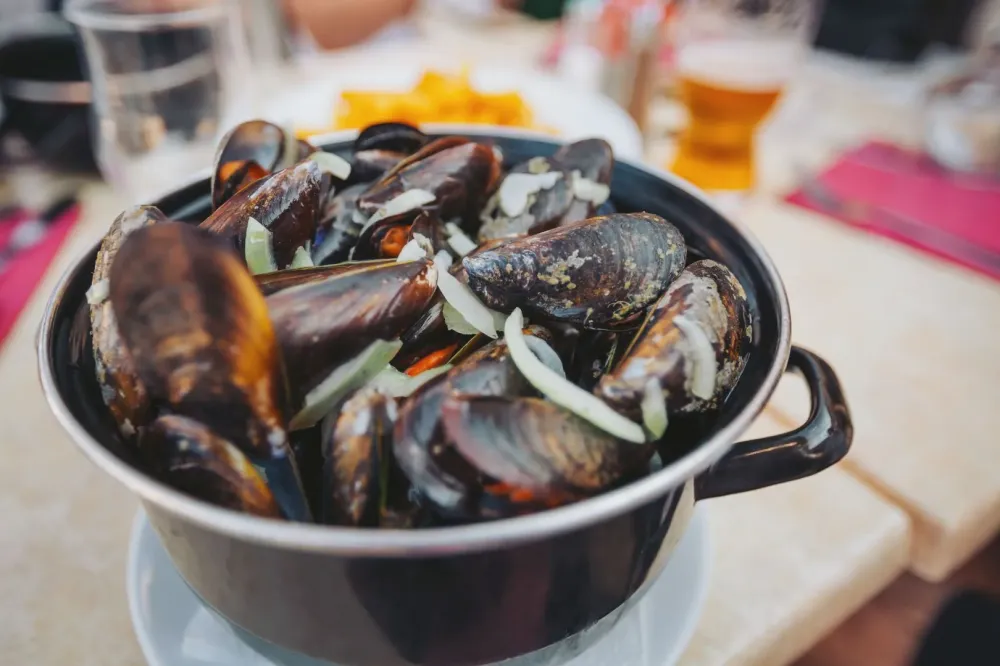 Degustation coquillages