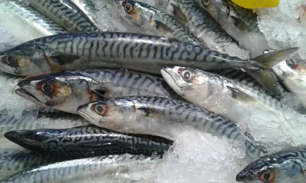 Vente direct producteur